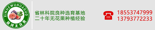 嘉祥县新河无花果种植专业合作社